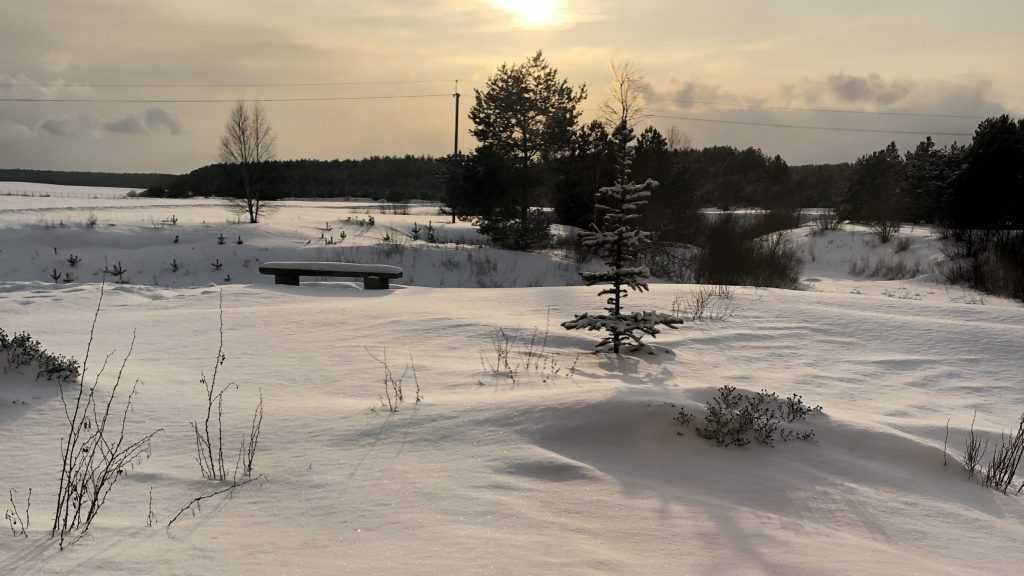 В Брянской области в воскресенье, 22 января, ожидается снег и 8 градусов мороза