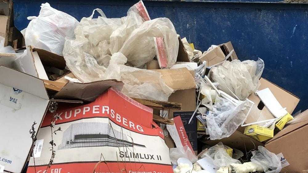 В Брянске на улице Федюнинского мусорщики ликвидировали зловонную свалку