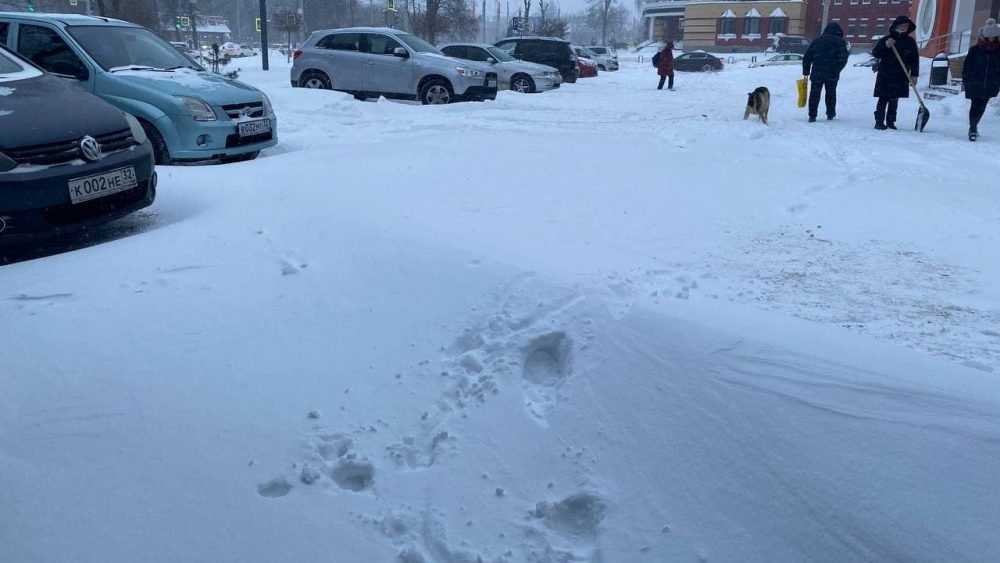 Мощный снегопад парализовал движение в Брянске