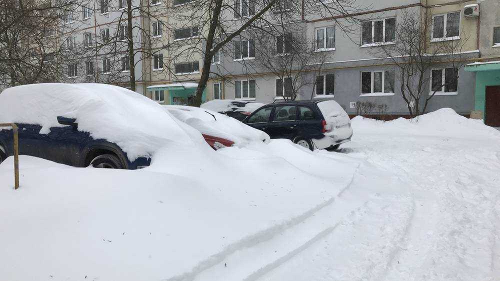 В Брянской области высота снежного покрова превысила 60 сантиметров