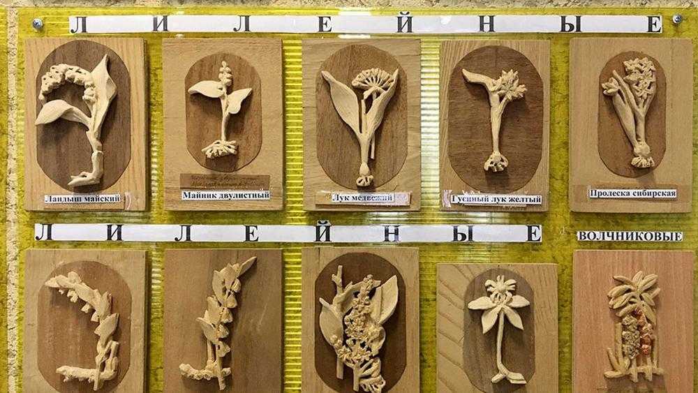 В Брянске показали уникальную коллекцию растений удивительного ученого