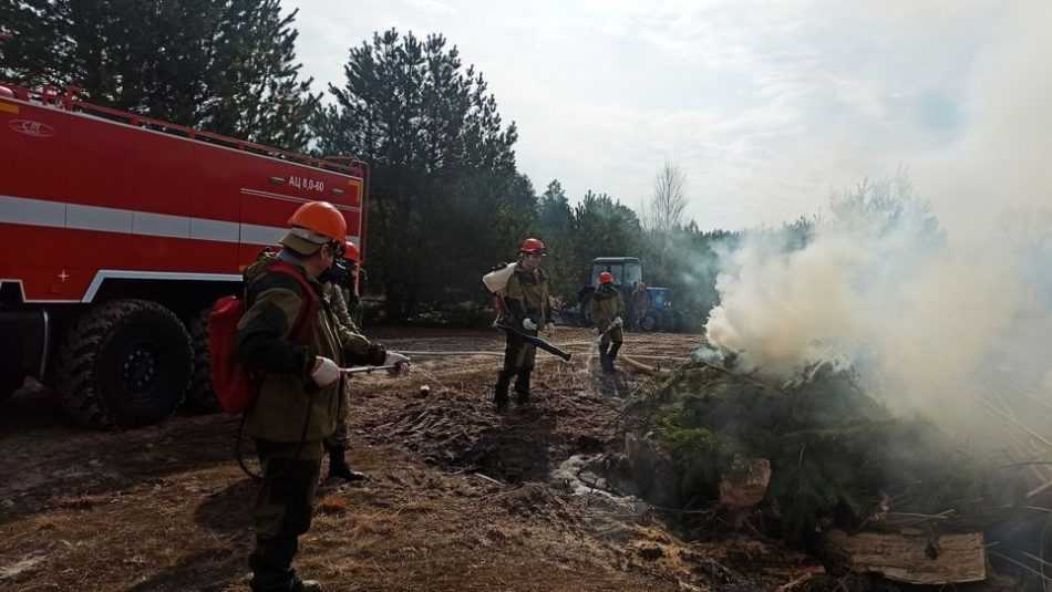 Брянские лесники показали видео учений по тушению лесных пожаров