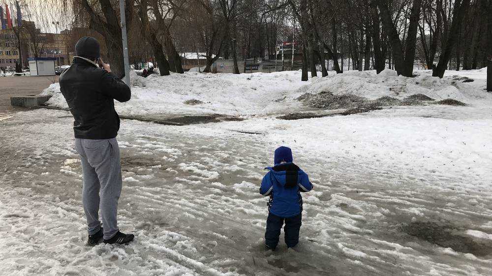 В Брянской области 22 марта обещают 6 градусов тепла и мокрый снег