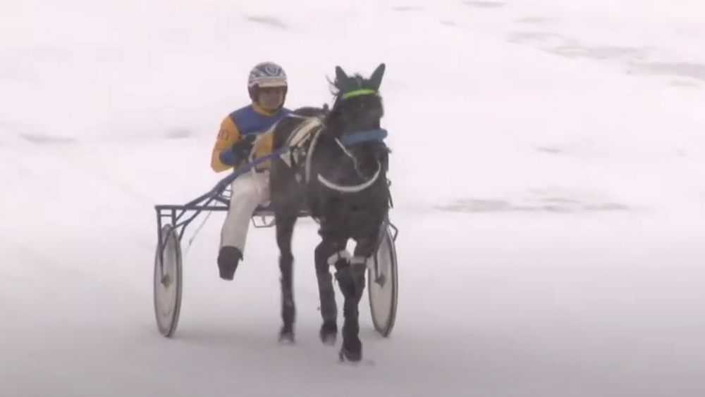 Локотская лошадь победила на Московском Центральном ипподроме