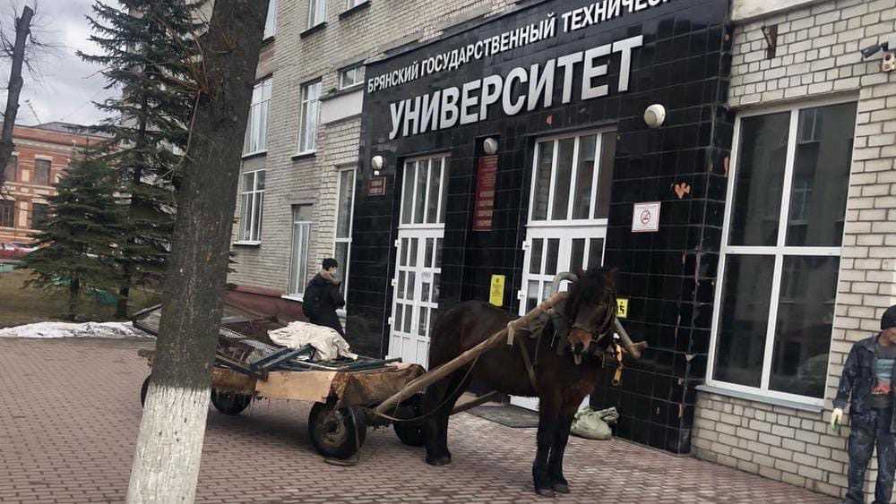 Жителей Брянска развеселила повозка с лошадью возле здания БГТУ