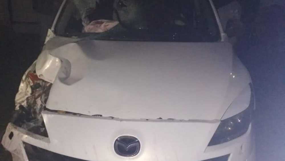 В Клинцовском районе водитель врезался в забор и покалечил пассажира