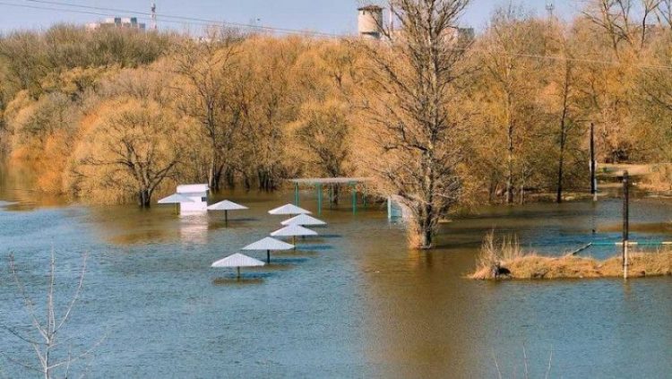 В Брянской области из-за паводка 21 апреля остаются затопленными 53 домовладения