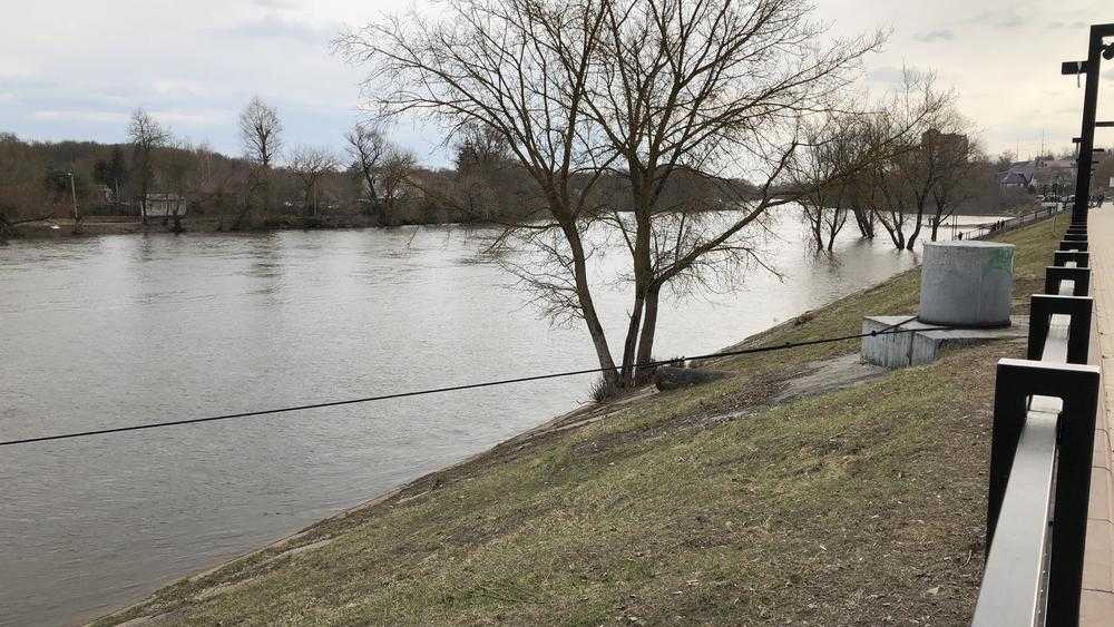 В Брянске резко вырос уровень воды в реке Десне