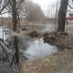 В Брянске стабилизировался уровень воды в Десне и Болве 
