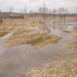 В Брянске стабилизировался уровень воды в Десне и Болве 