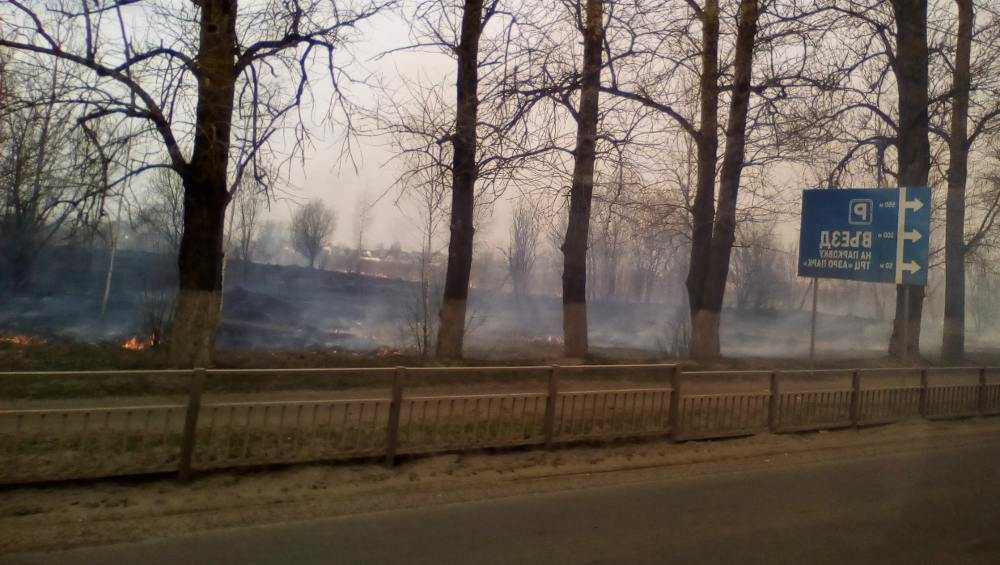 В Брянске загорелась трава на поле напротив ТРЦ «Аэропарк»