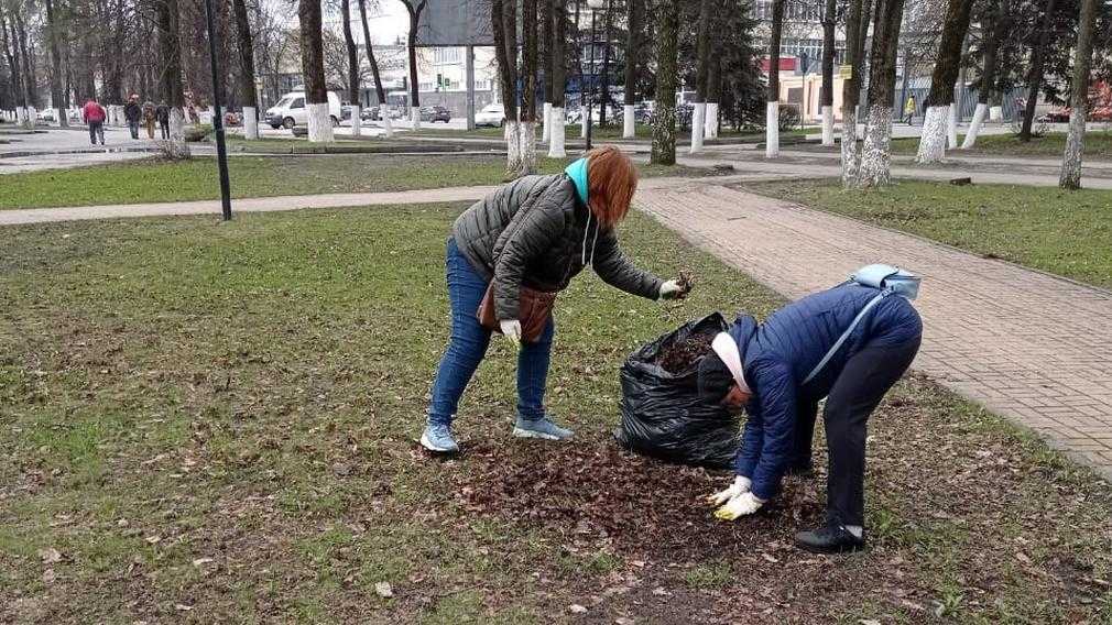 Чиновники правительства Брянской области убрали мусор в сквере Гайдукова