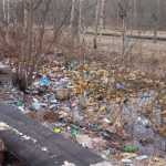 В Фокинском районе Брянска начали убирать многолетнюю свалку мусора