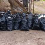 В Фокинском районе Брянска начали убирать многолетнюю свалку мусора