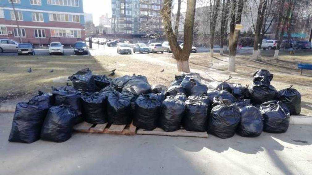 В Брянске студенты устроят забег со сбором мусора в парке