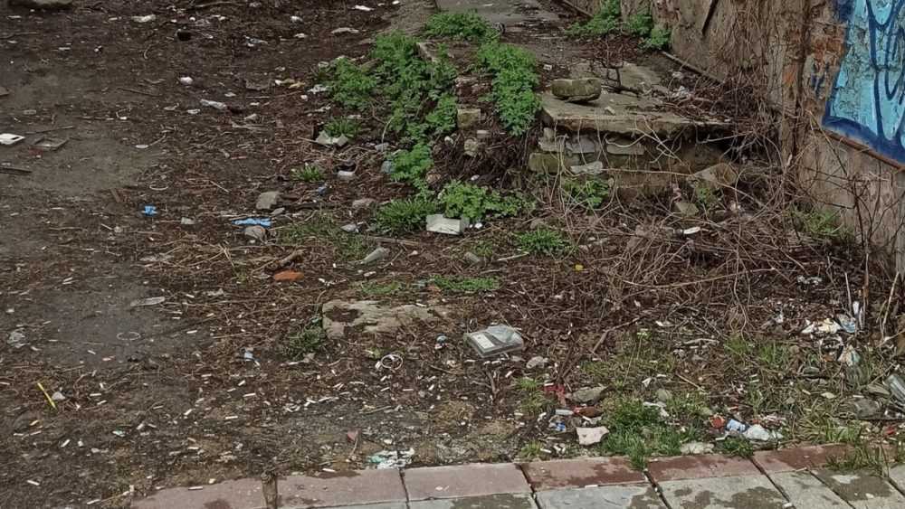 Жители Брянска возмутились грязью и мусором в центре города