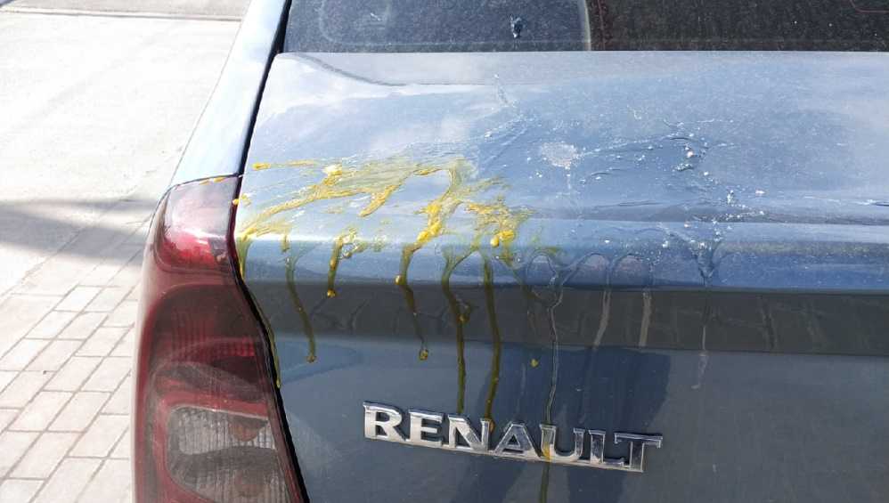 В Брянске подростки обстреляли яйцами прохожих и автомобиль