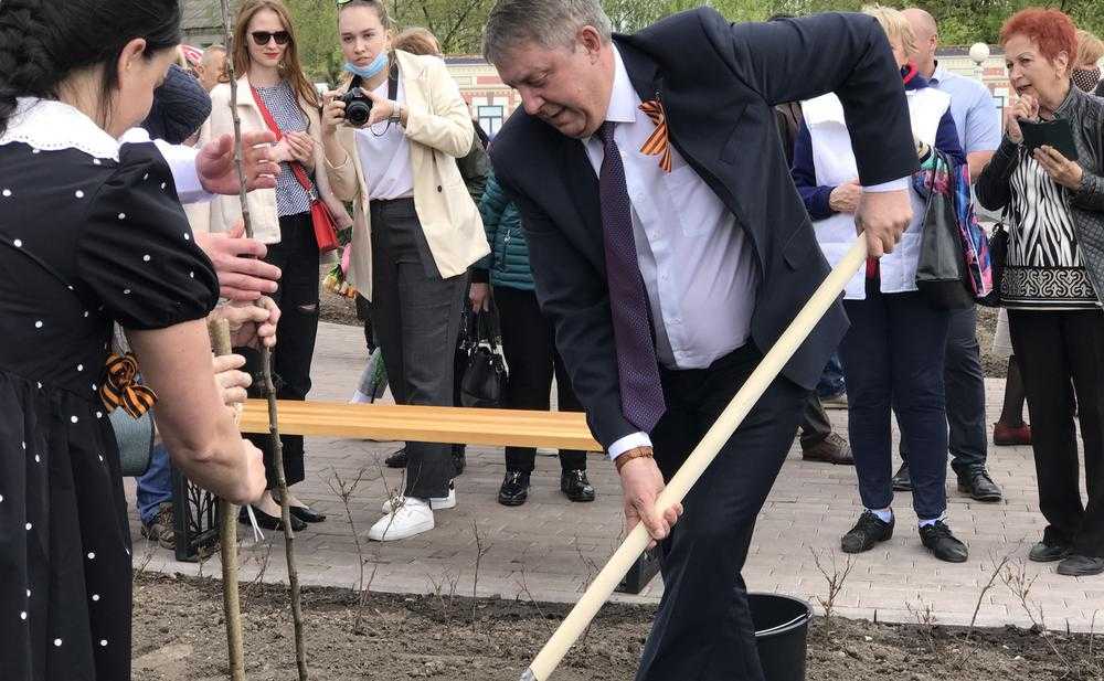 Брянский губернатор посадил дерево в открытом 12 мая Саду Победы