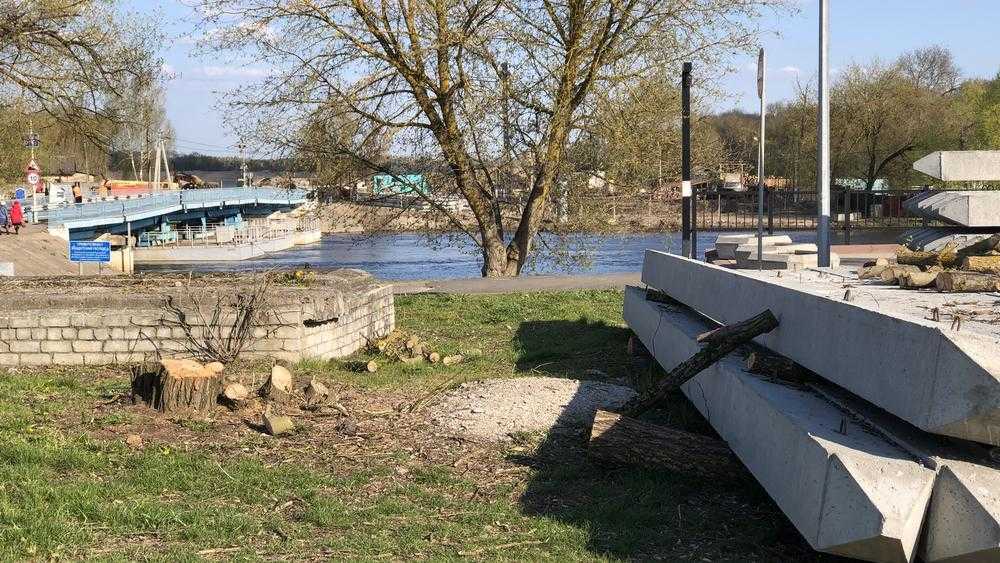 В Брянске на набережной из-за строительства моста через реку спилили деревья