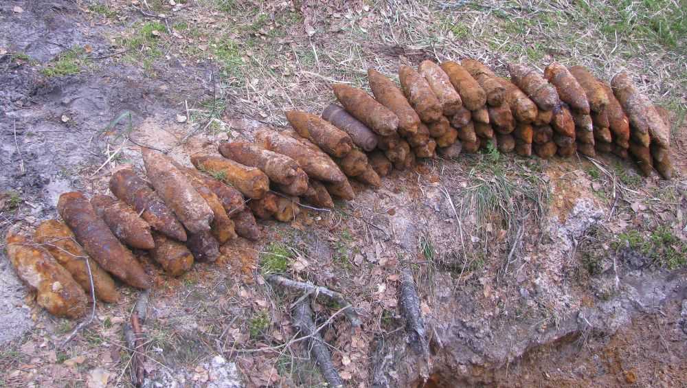 В лесу возле карачевского села Песочня нашли 80 артиллерийских снарядов