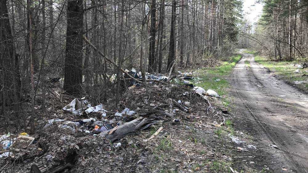 В лесу возле брянской дороги выросла свалка промышленных отходов