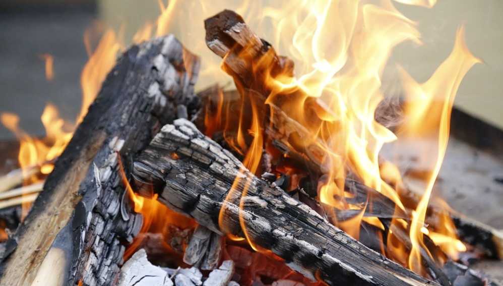В Сураже Брянской области наказали сжигавшего мусор предпринимателя