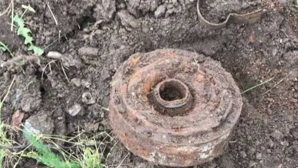 Под Брасовом Брянской области в поле обнаружили шесть мин времён войны