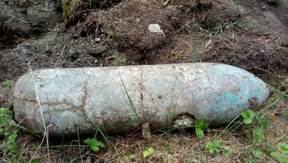 Под Брянском возле села экс-губернатора Денина нашли 3 бомбы и 4 снаряда