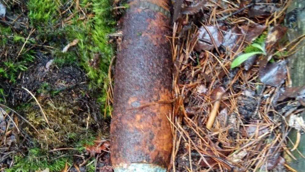 В Злынке брянцев напугал обнаруженный в лесу артиллерийский снаряд