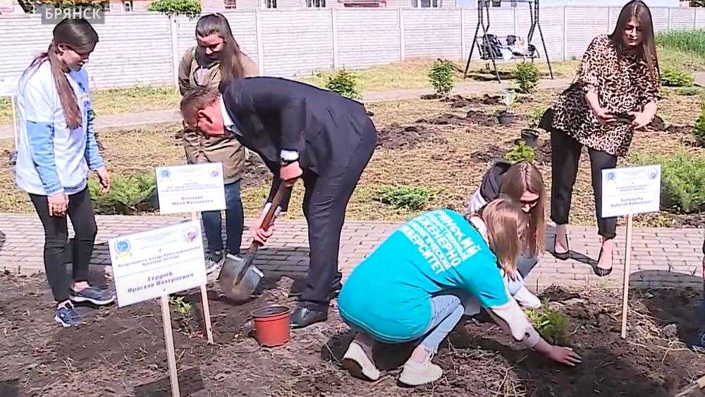 В Брянске в ботаническом саду на экологической акции посадили гортензии