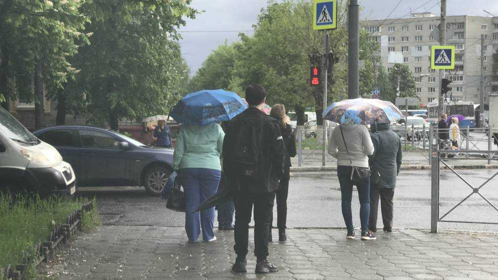 В Брянской области 25 августа ожидаются дожди с грозами при 19 градусах тепла