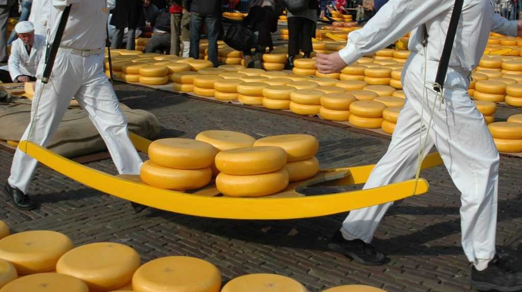 Брянская область вышла на 3-е место в России по производству сыров