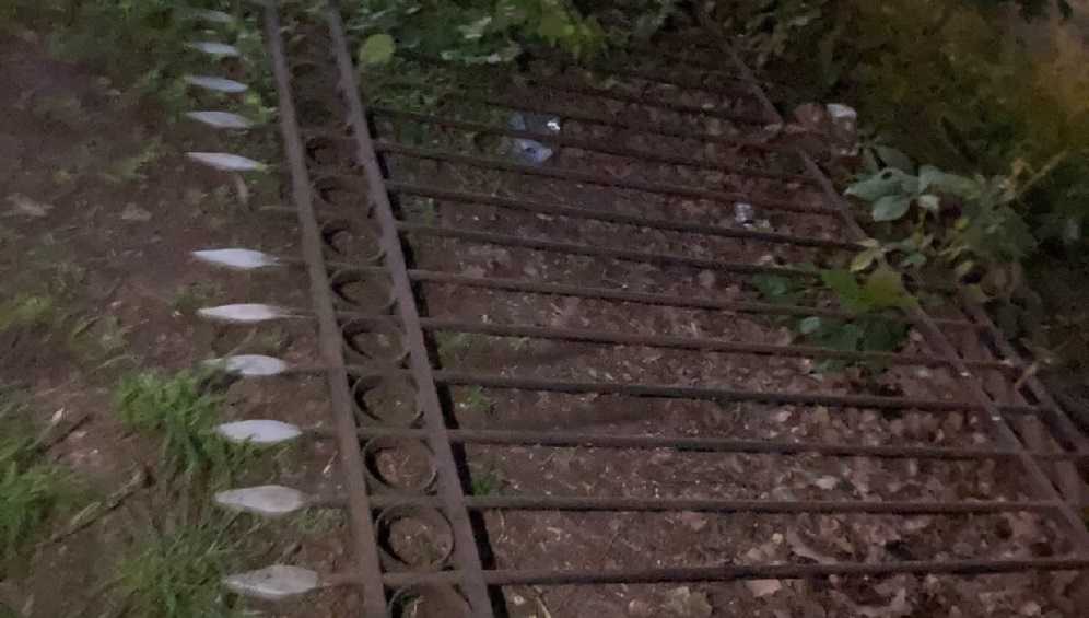 В парке Брянска рухнувший чугунный забор покалечил 9-летнего мальчика