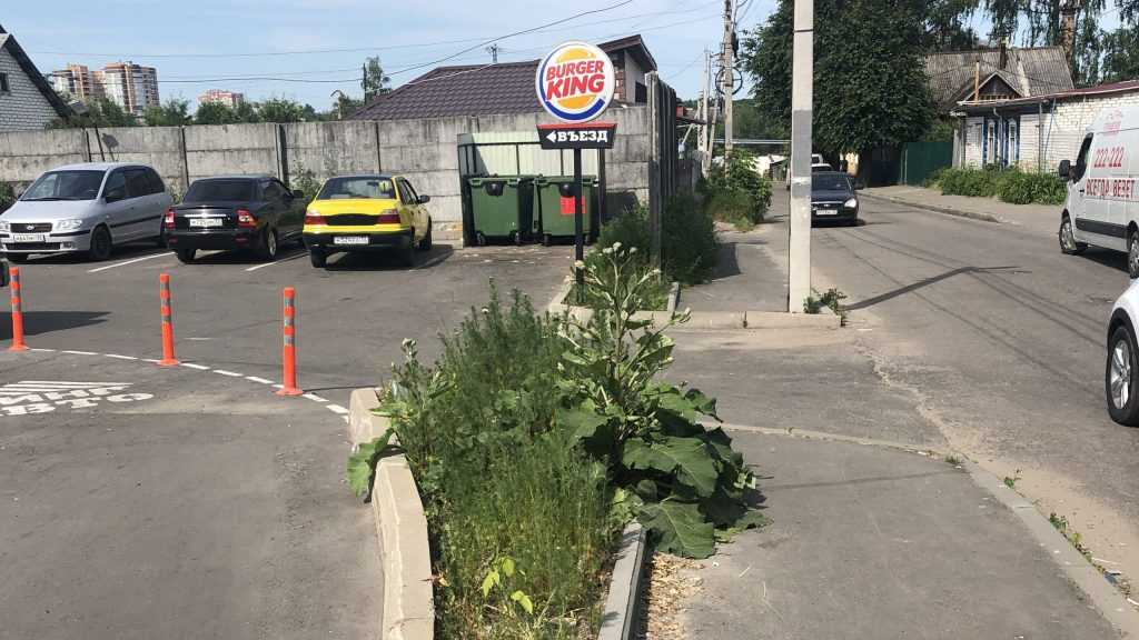 В Брянске после жалобы горожан убрали мусор возле кафе Burger King