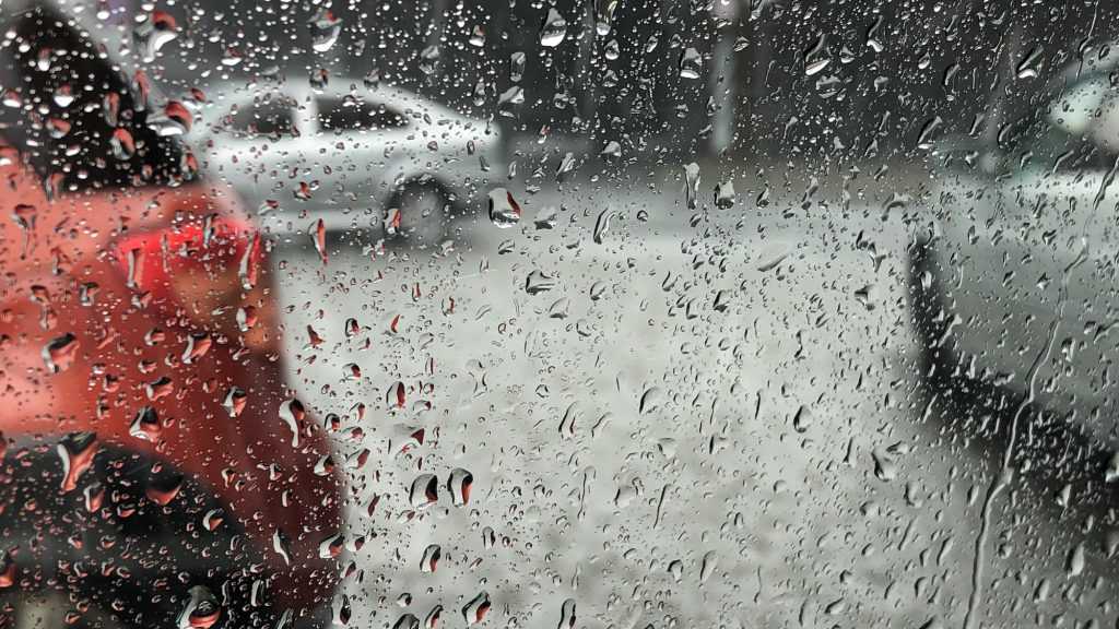 В Брянской области из-за дождя и ветра объявили жёлтый уровень погодной опасности