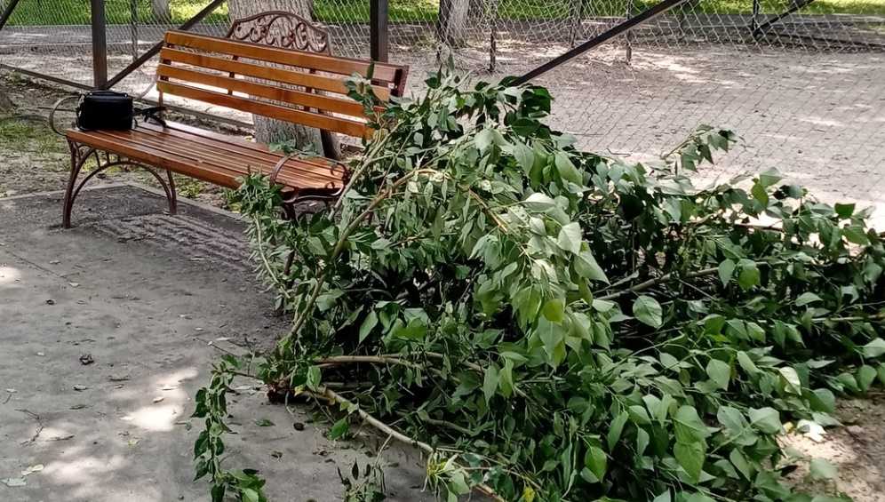 В брянском посёлке Белые Берега на детскую площадку рухнула ветка дерева