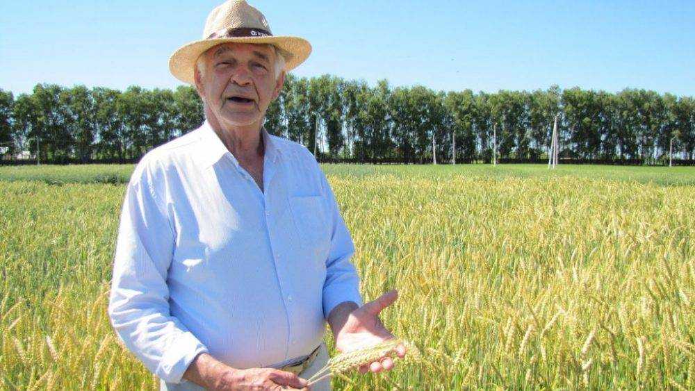 Ректор аграрного университета проверил подготовку к Дню брянского поля