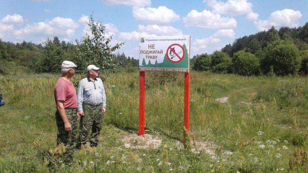 В Брянской области с 14 июля из-за угрозы пожаров запретили посещение лесов