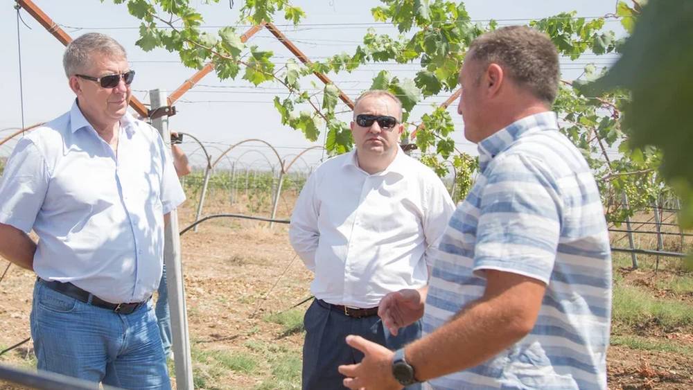 В Крыму брянскому губернатору показали современную винодельню