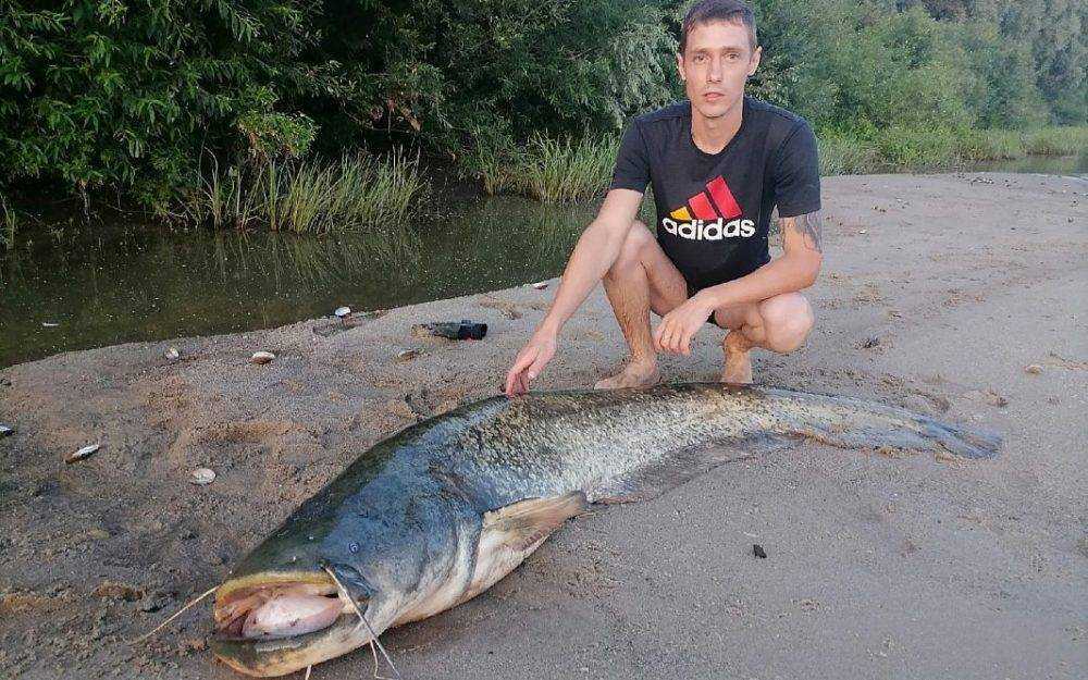 Житель Рязанской области поймал огромного сома
