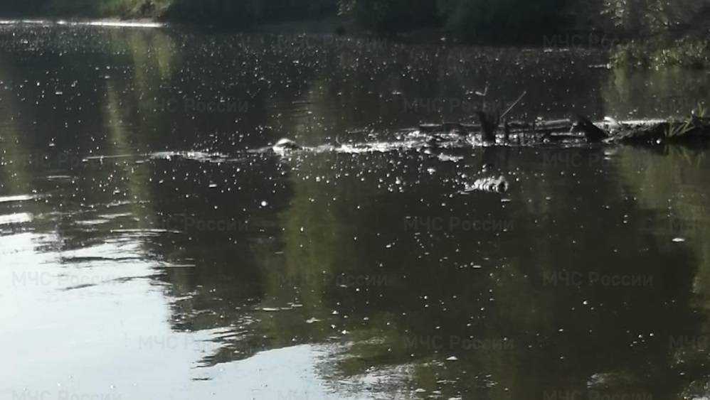 В Брянском районе из реки Десны водолазы подняли тело 36-летнего мужчины