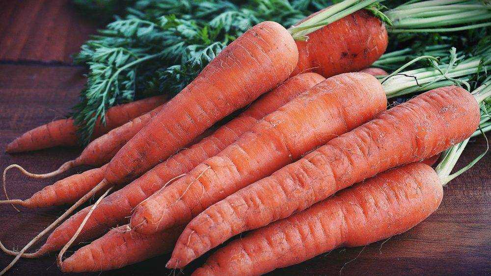 Россиянам предложили подумать о причинах огромных цен на морковь