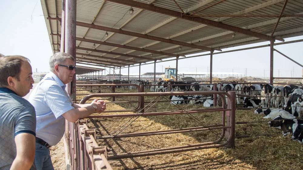 Брянский губернатор Богомаз посетил в Крыму крупнейшую молочную ферму
