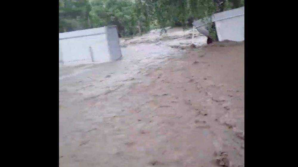 После сильного ливня в Брянской области затопило деревню Алексеевку