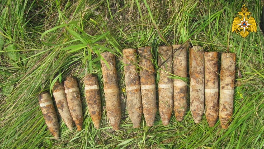 Под Севском Брянской области в поле обнаружили 14 артиллерийских снарядов