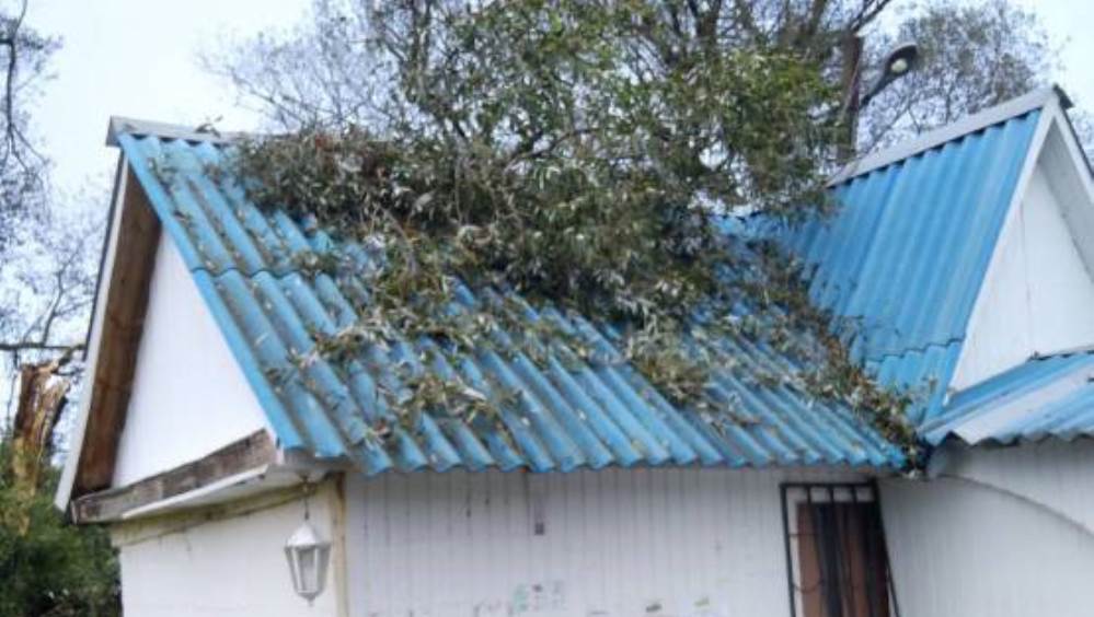 В Суземке Брянской области ветка дерева упала на жилой дом
