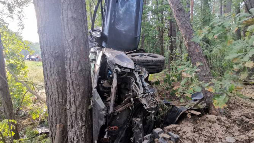 В Брянской области погиб врезавшийся в дерево 37-летний водитель Kia