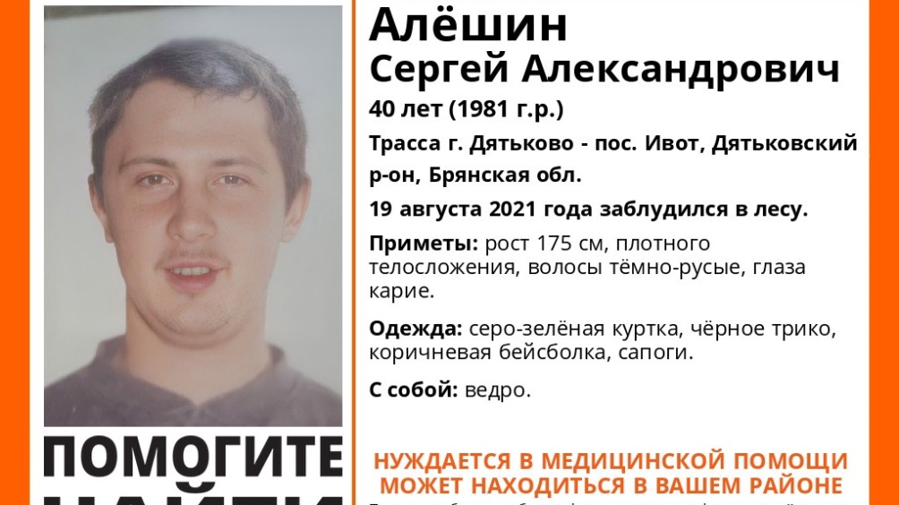 Под Дятьковом пропал заблудившийся в лесу 40-летний Сергей Алёшин