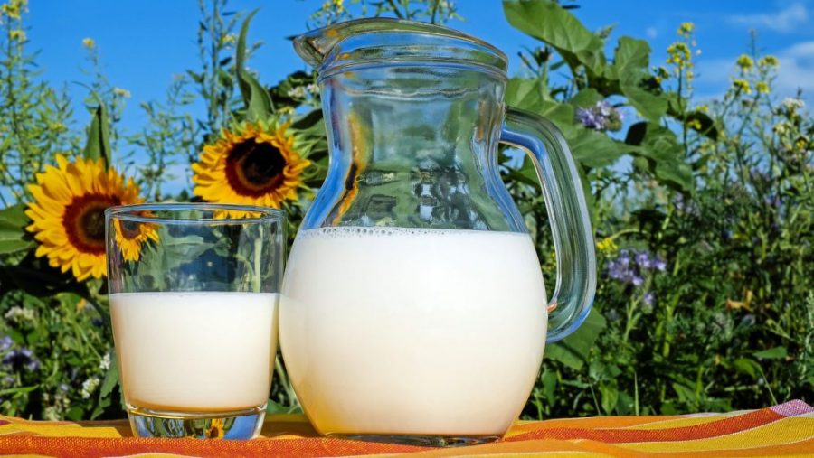Экспорт молочной продукции из Брянской области за год вырос в два раза