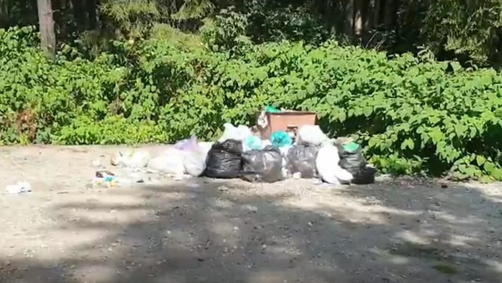 В Белых Берегах предложили вывезти мусор с пляжа к домам чиновников